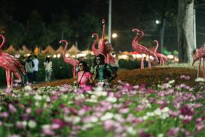 BIB: 
                            <button type="button" onclick="openModal(27337353)" class="btn btn-primary btn-sm float-right btn-popup" data-toggle="modal" data-target=".modal-high-quality">
                        <i class="fas fa-shopping-cart"></i> Add to Cart
                    </button>
                                            <button type="button" onclick="isThisMe(27337353, true)" class="btn btn-success btn-sm float-right btn-popup btn-isme hidden" data-toggle="tooltip" data-placement="bottom" title="นี่คือรูปของคุณใช่ไหม คลิกที่นี่เพื่อเอาเข้าอัลบั้ม">
                        <i class="fas fa-plus"></i> Add to album
                    </button>
                    <button type="button" onclick="isThisMe(27337353, false)" class="btn btn-warning btn-sm float-right btn-popup btn-isnotme hidden">
                        <i class="fas fa-ban"></i> Remove from album
                    </button>